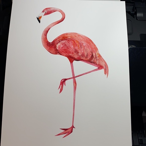 Wall Art Tropical Flamingo Print Unframed - Picture 10 of 12